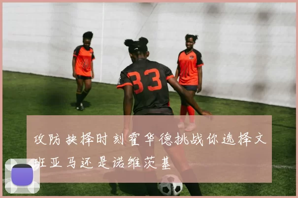 攻防抉择时刻霍华德挑战你选择文班亚马还是诺维茨基