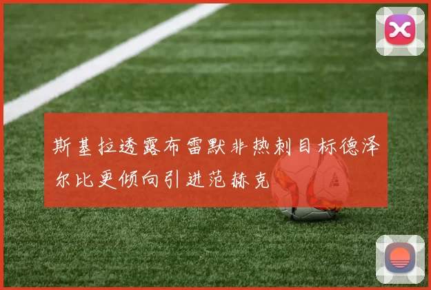 斯基拉透露布雷默非热刺目标德泽尔比更倾向引进范赫克
