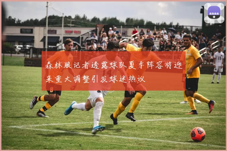 森林狼记者透露球队夏季阵容将迎来重大调整引发球迷热议
