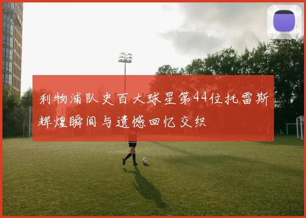 利物浦队史百大球星第44位托雷斯辉煌瞬间与遗憾回忆交织